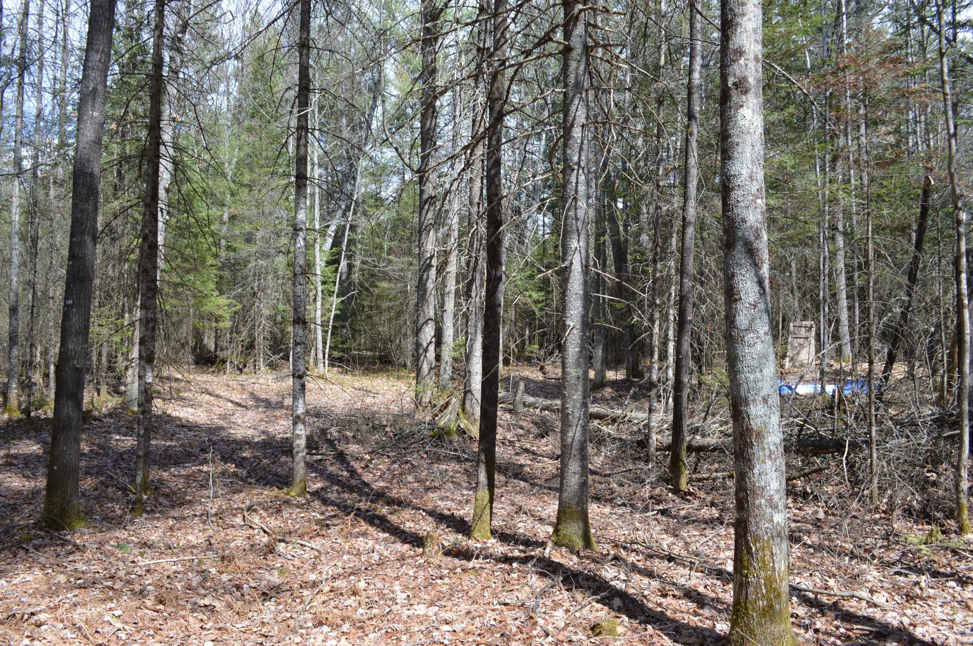 Lot 5 Columbus Road Conover, WI 54519 - Photo 10 of 14 Gallery Image 10