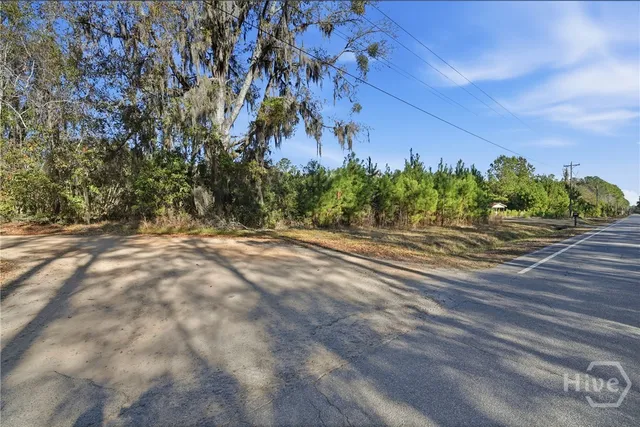 $160,000 | 0 Ft Morris Road, Midway, GA 31320