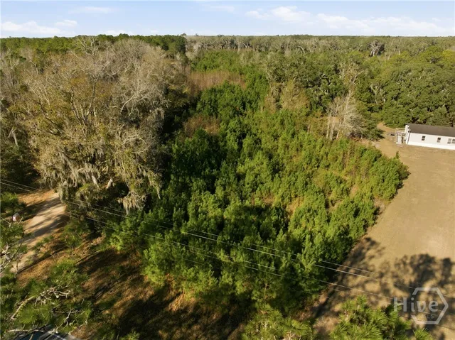 $160,000 | 0 Ft Morris Road, Midway, GA 31320