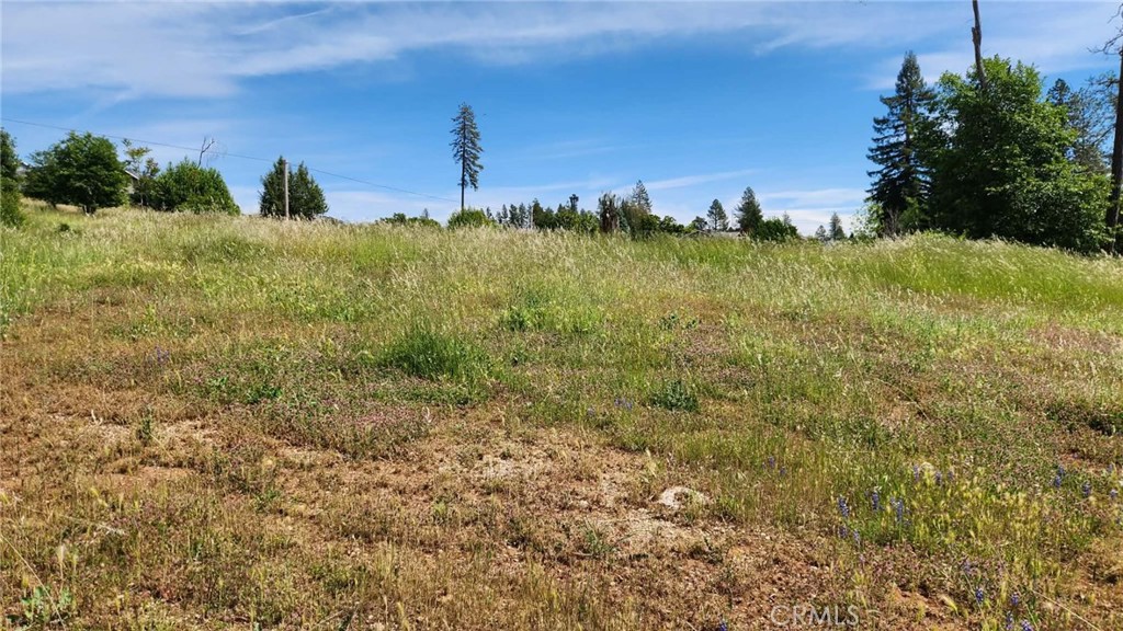 616 Elliott Road Paradise, CA 95969 - Photo 3 of 8