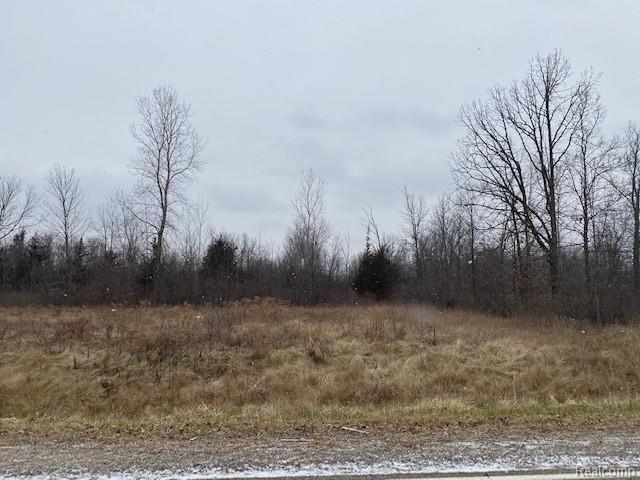 0 West Stanley Road Mount Morris, MI 48458 - Photo 2 of 3