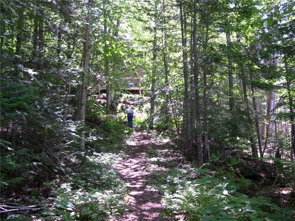 Lot 22 Alca Heights Road Oquossoc, ME 04964 - Photo 25 of 31 path to lake