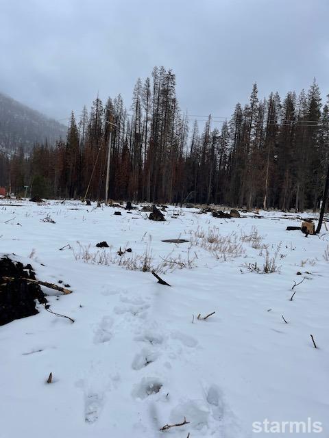 7879 Phillips Heights Avenue Twin Bridges, CA 95735 - Photo 5 of 9 a view of a yard with snow on the road