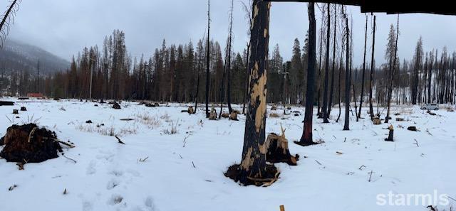 7879 Phillips Heights Avenue Twin Bridges, CA 95735 - Photo 6 of 9