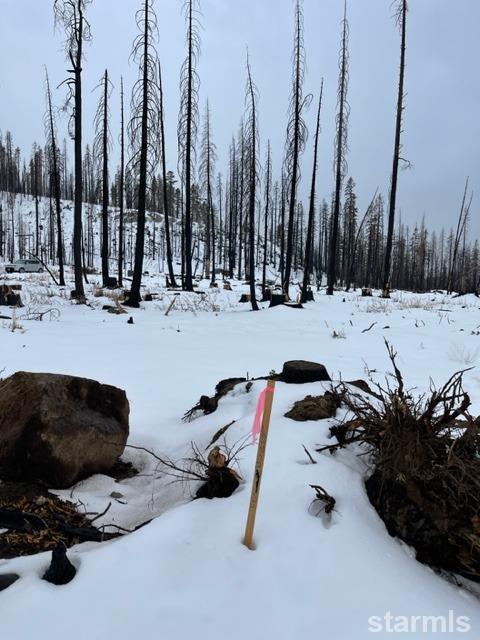 7879 Phillips Heights Avenue Twin Bridges, CA 95735 - Photo 8 of 9 a view of the terrace with chairs