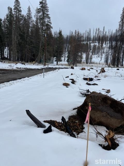 7879 Phillips Heights Avenue Twin Bridges, CA 95735 - Photo 9 of 9