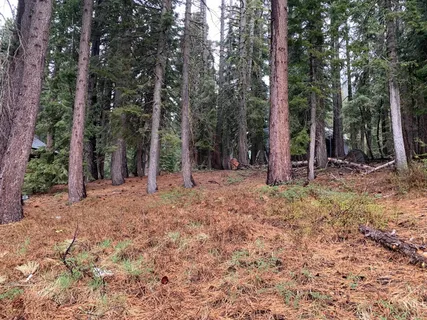 $80,000 | 4036 Courchevel Road, Homewood, CA 96141