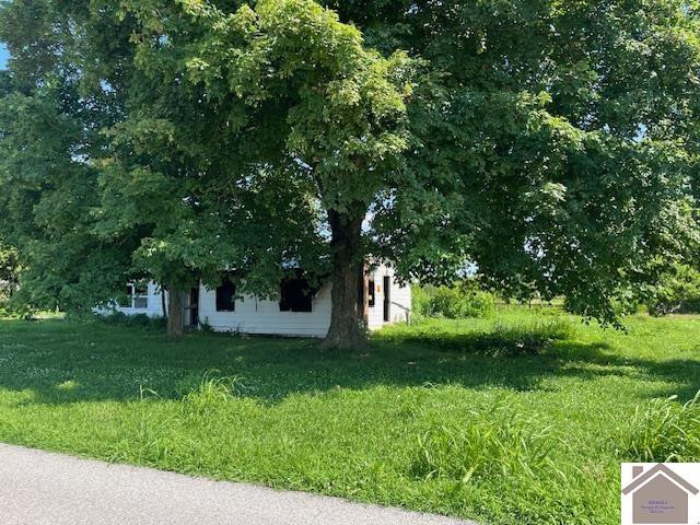 11480 Buffalo Road Gracey, KY 42232 - Photo 4 of 4 Photo 4