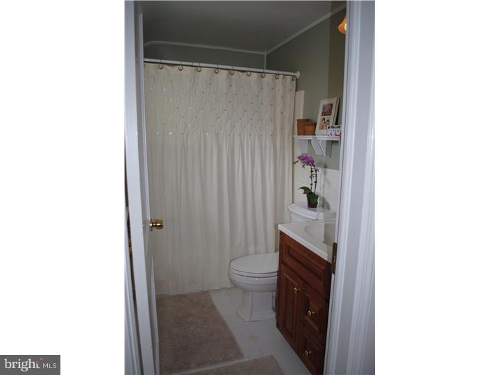 1508 Hampstead Road Wynnewood, PA 19096 - Photo 11 of 12 Bathroom