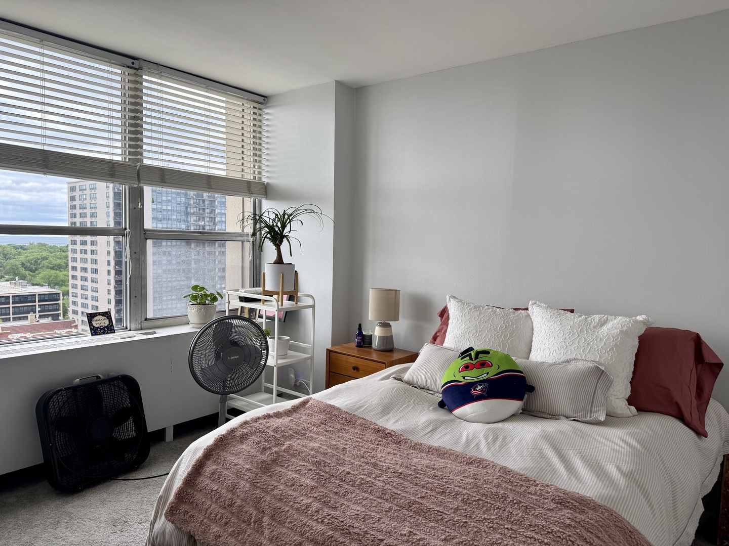 655 West Irving Park Road, Unit 1310 Chicago, IL 60613 - Photo 9 of 17