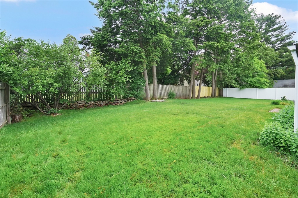 38 Fallston Street Springfield, MA 01119 - Photo 29 of 35 a view of a yard with a trees