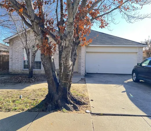 a view of a yard with large tree