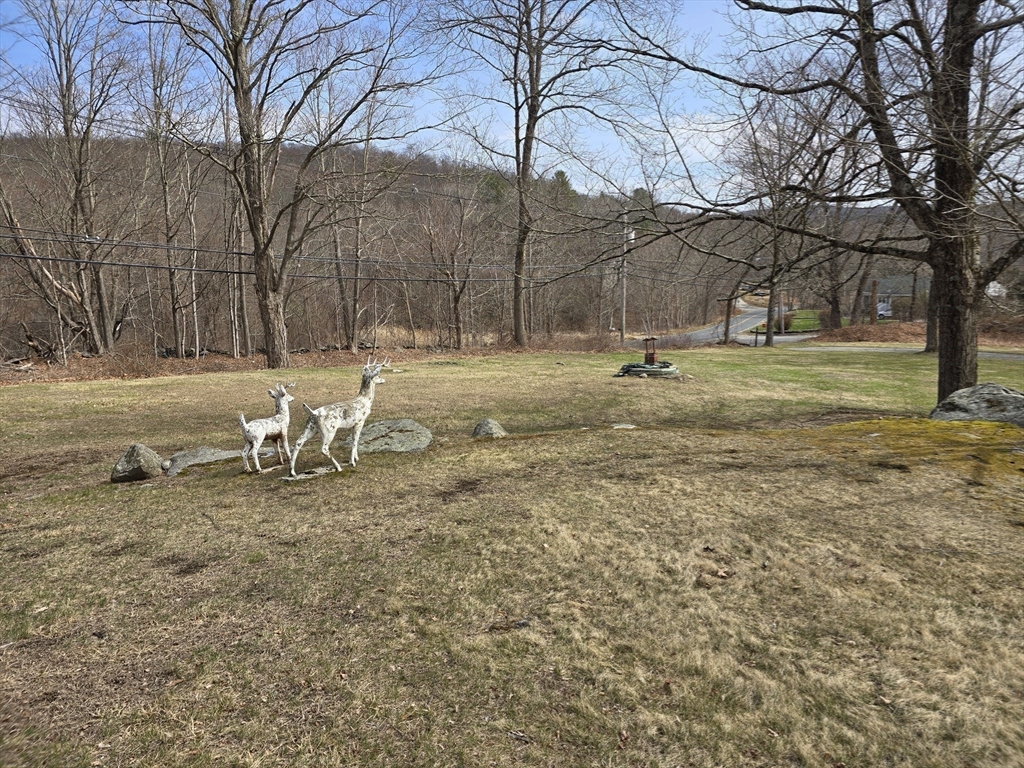 205 Hardwick Road Hardwick, MA 01031 - Photo 24 of 29 a view of a yard with a tree
