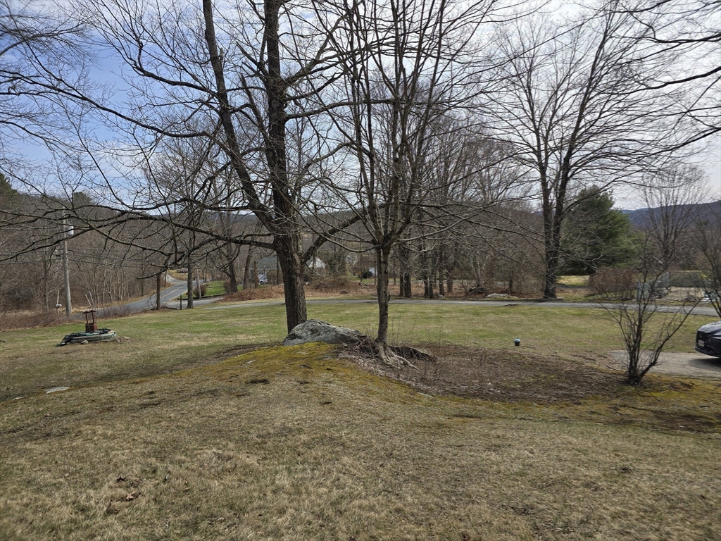 205 Hardwick Road Hardwick, MA 01031 - Photo 25 of 29 a view of a yard with a tree