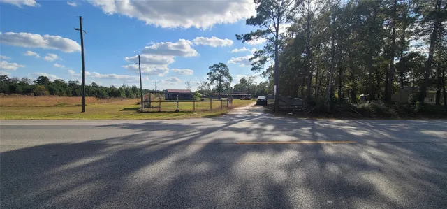 a view of a park with large trees
