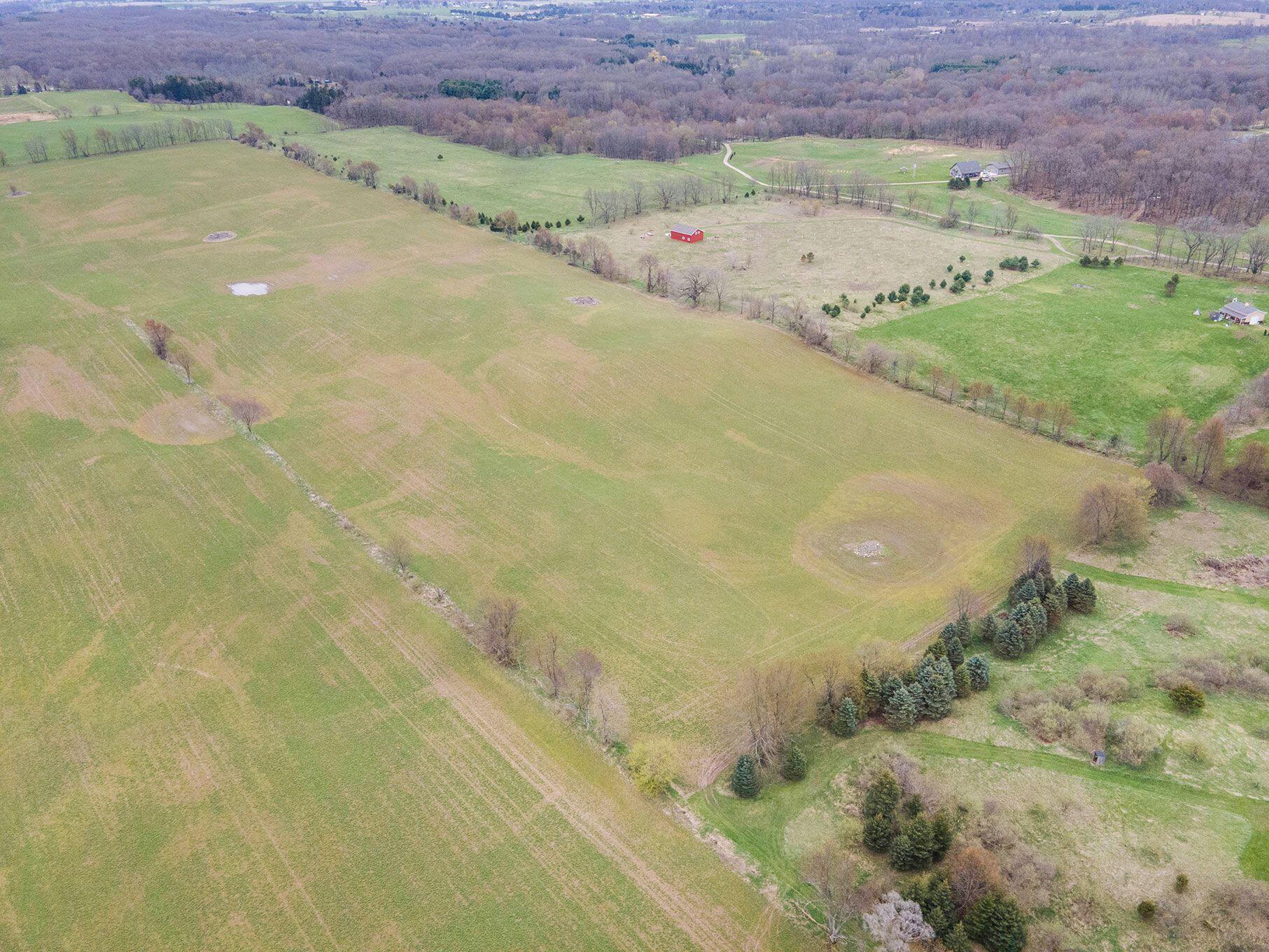 3635 Jacob Road Grass Lake, MI 49240 - Photo 8 of 11 8