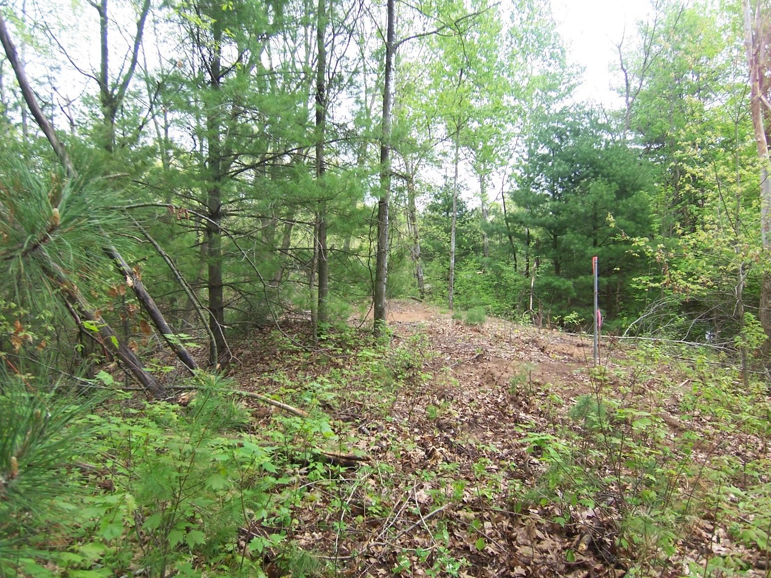 County Road South Sobieski, WI 54171 - Photo 7 of 15