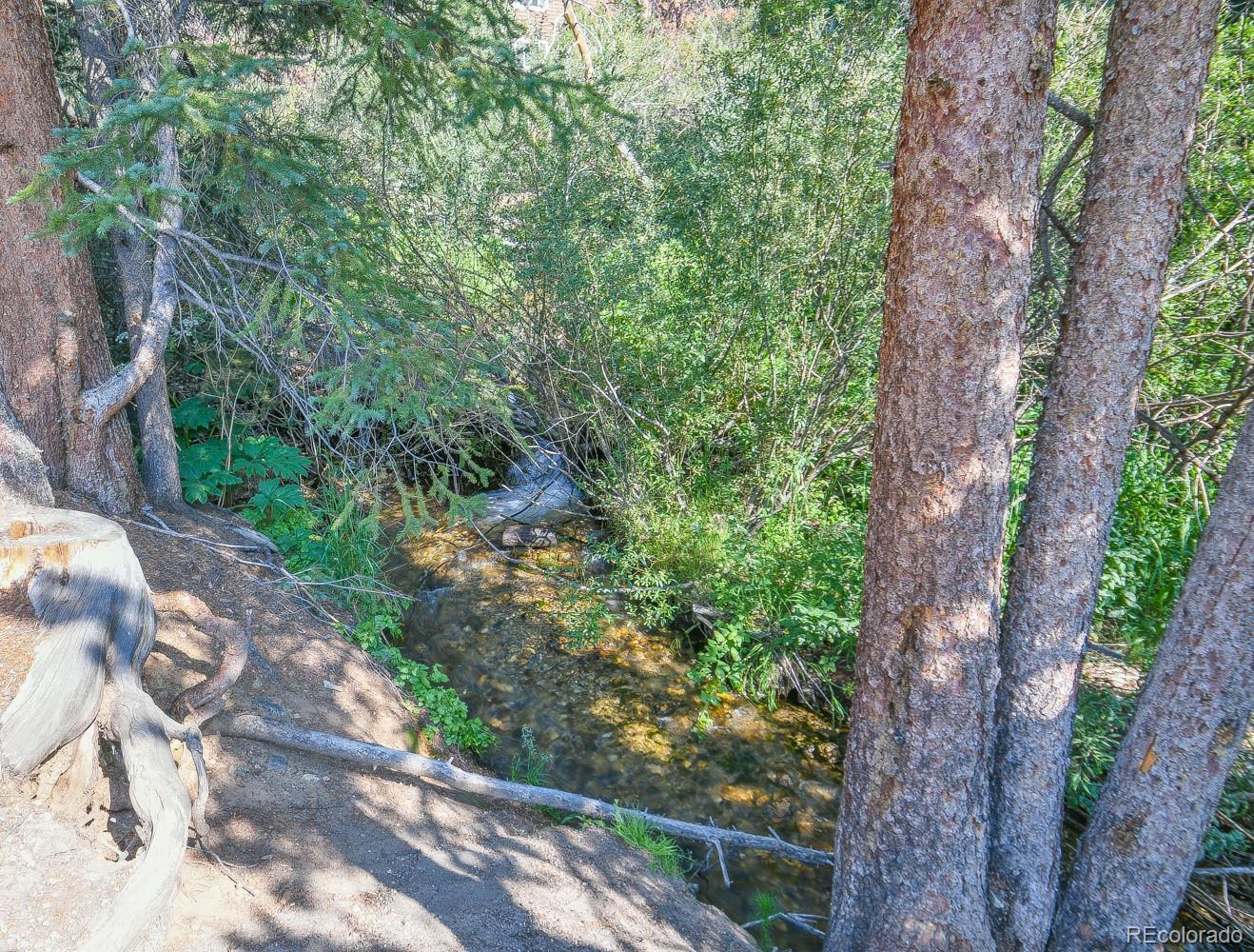 400 4 O Clock Road, Unit E Breckenridge, CO 80424 - Photo 31 of 34 a yard with tall trees