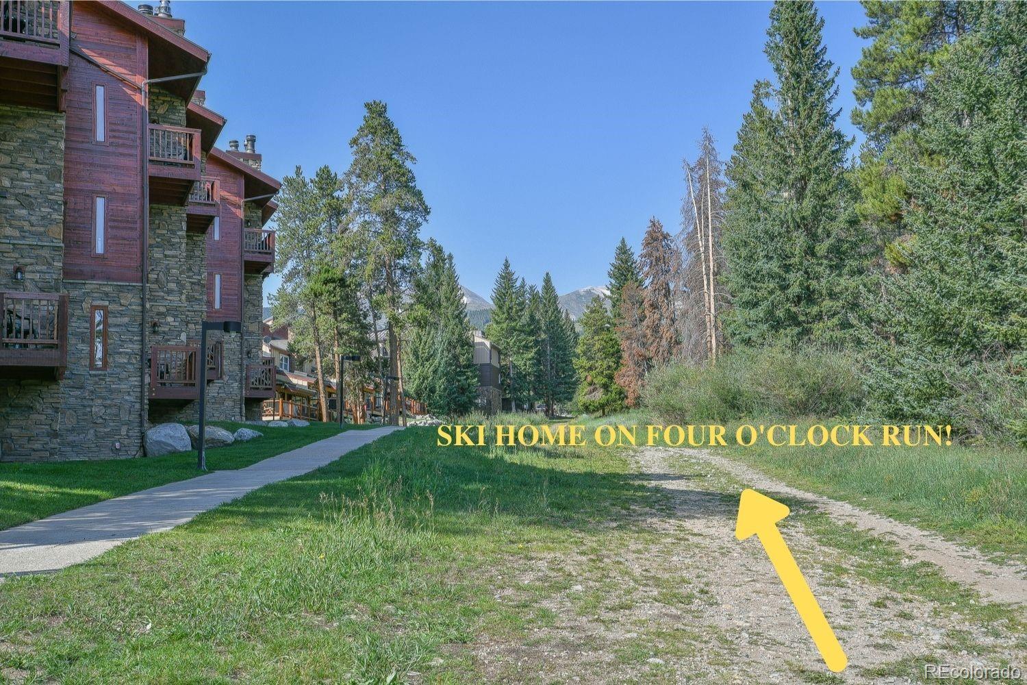 400 4 O Clock Road, Unit E Breckenridge, CO 80424 - Photo 6 of 34 a view of a park with large trees