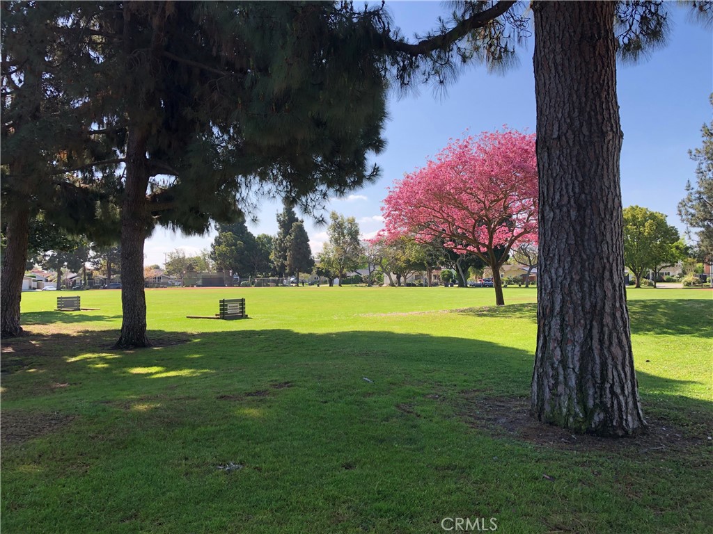 11402 Donovan Road Los Alamitos, CA 90720 - Photo 33 of 44 a swimming pool with lots of tress in front of it