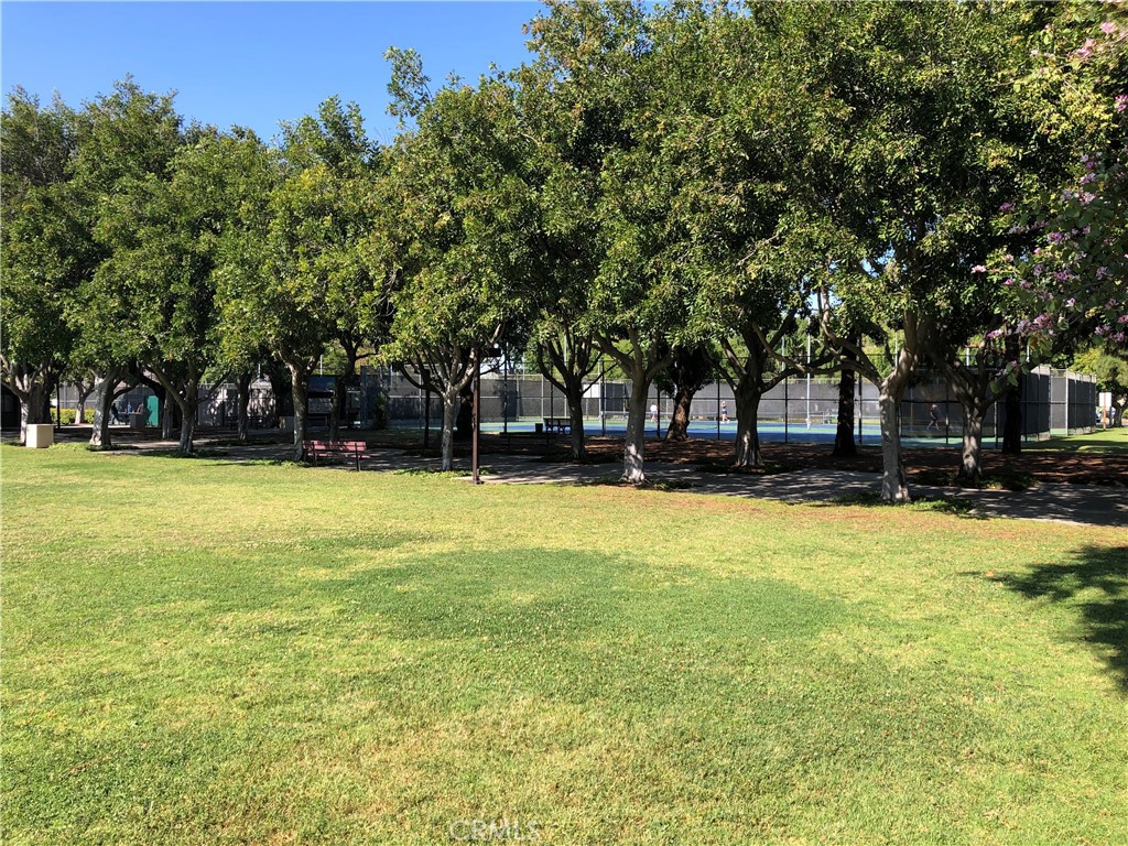 11402 Donovan Road Los Alamitos, CA 90720 - Photo 38 of 44 a view of swimming pool with trees