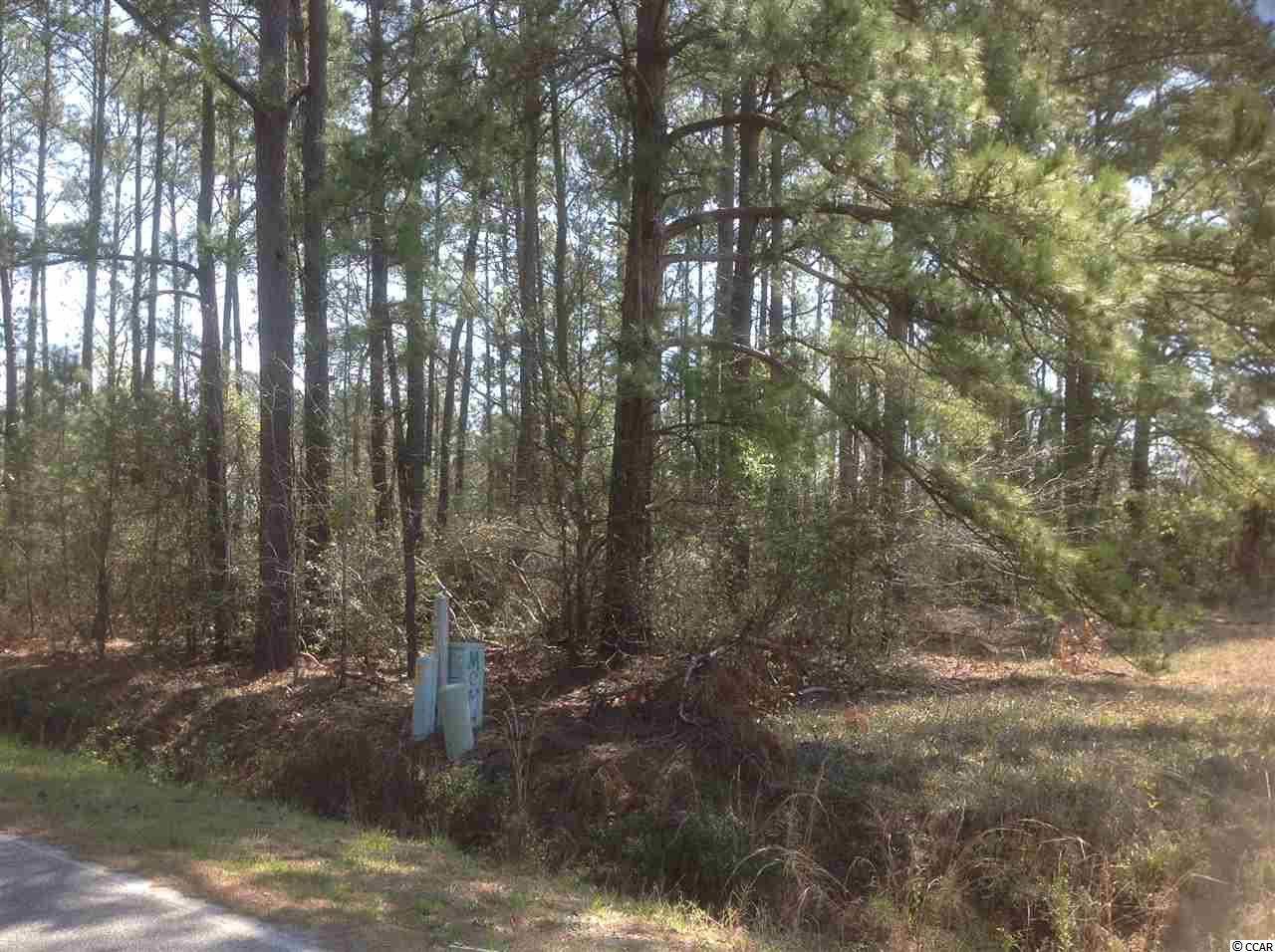 Lot 13 Fox Hollow Road Conway, SC 29526 - Photo 1 of 6 Gallery Image 1