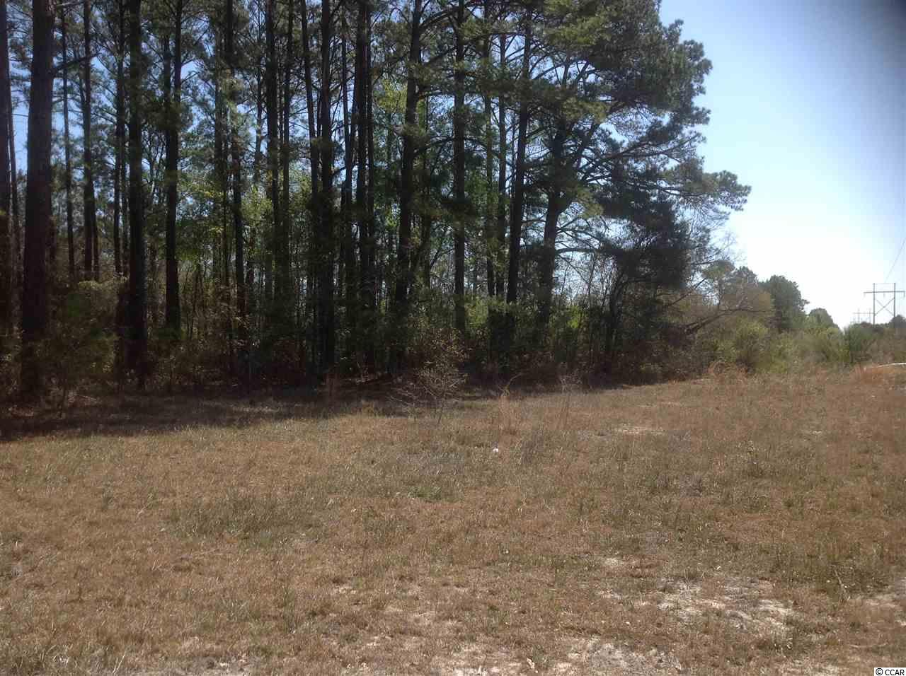 Lot 13 Fox Hollow Road Conway, SC 29526 - Photo 2 of 6 Gallery Image 2