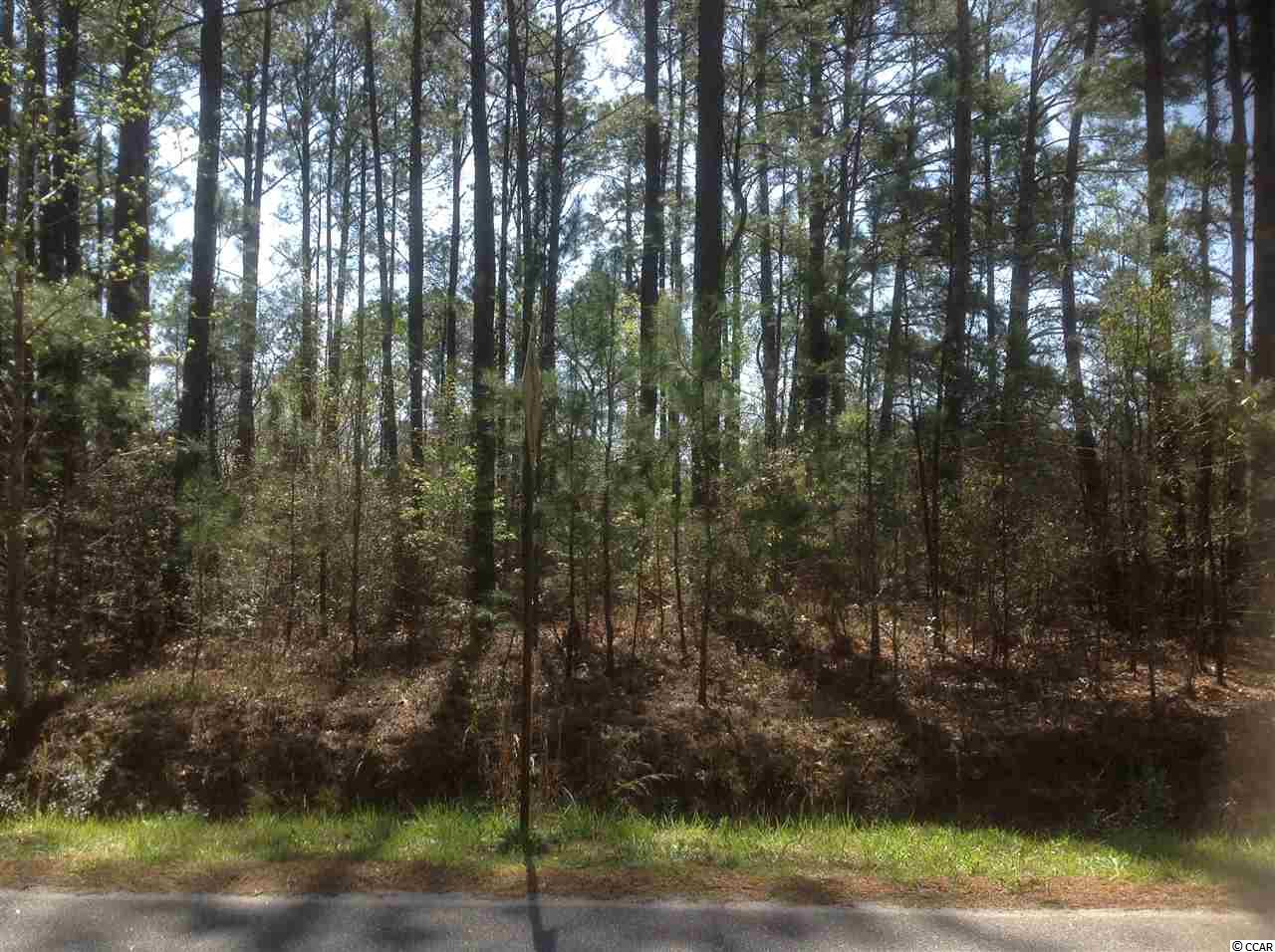 Lot 13 Fox Hollow Road Conway, SC 29526 - Photo 3 of 6 Gallery Image 3