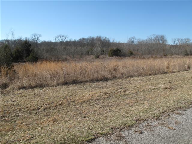 0 Tuckaway Road Eagleville, TN 37060 - Photo 2 of 8 OWNER WILL BUSH-HOG WHEN WEATHER PERMITS~~~~