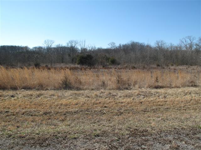 0 Tuckaway Road Eagleville, TN 37060 - Photo 3 of 8 PROPERTY SLOPES SLIGHTLY FROM REAR TO FRONT~~BRING YOUR CAMERA PLENTY OF WILD LIFE~~~