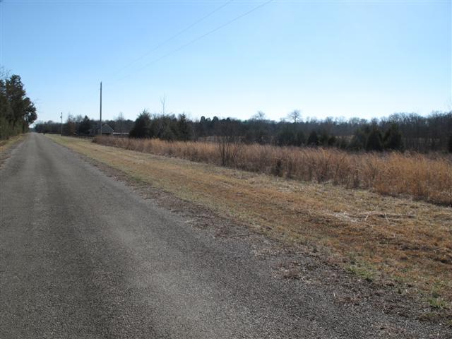 0 Tuckaway Road Eagleville, TN 37060 - Photo 4 of 8 VIEWING SOUTH FROM ABOUT MIDDLE OF PROPERTY, THE ULTILTY POLES THE START OF PROPERTY LINE~~~