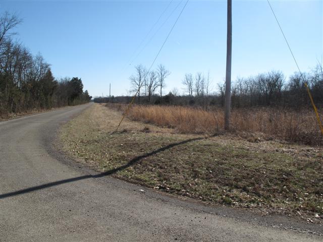 0 Tuckaway Road Eagleville, TN 37060 - Photo 5 of 8 VIEWING SOUTH FROM CURVE~~~