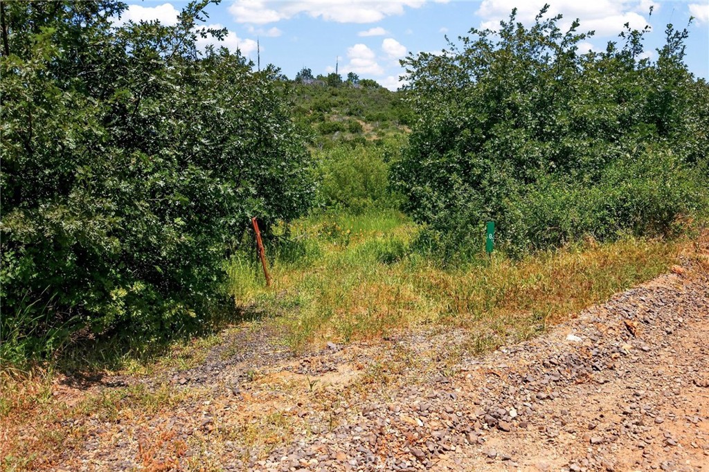0 Bardees Bar Road Oroville, CA 95965 - Photo 5 of 31 a big yard with lots of green space