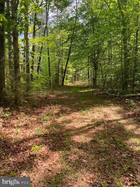 0 Carters Gate Road Ruther Glen, VA 22546 - Photo 4 of 6
