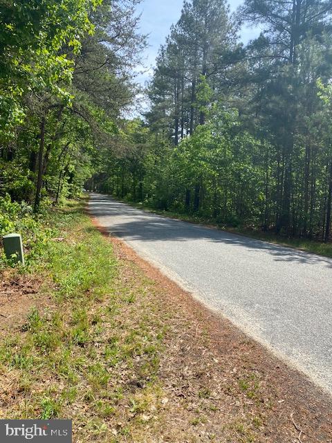 0 Carters Gate Road Ruther Glen, VA 22546 - Photo 6 of 6