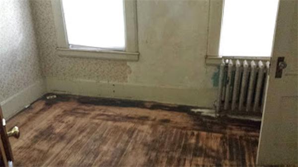 62 Westminster Street Springfield, MA 01109 - Photo 5 of 8 a view of a room
