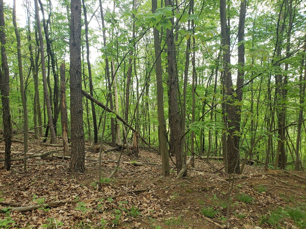 Lot 5 Diehl Road Mount Union, PA 17066 - Photo 3 of 8 Gallery Image 3