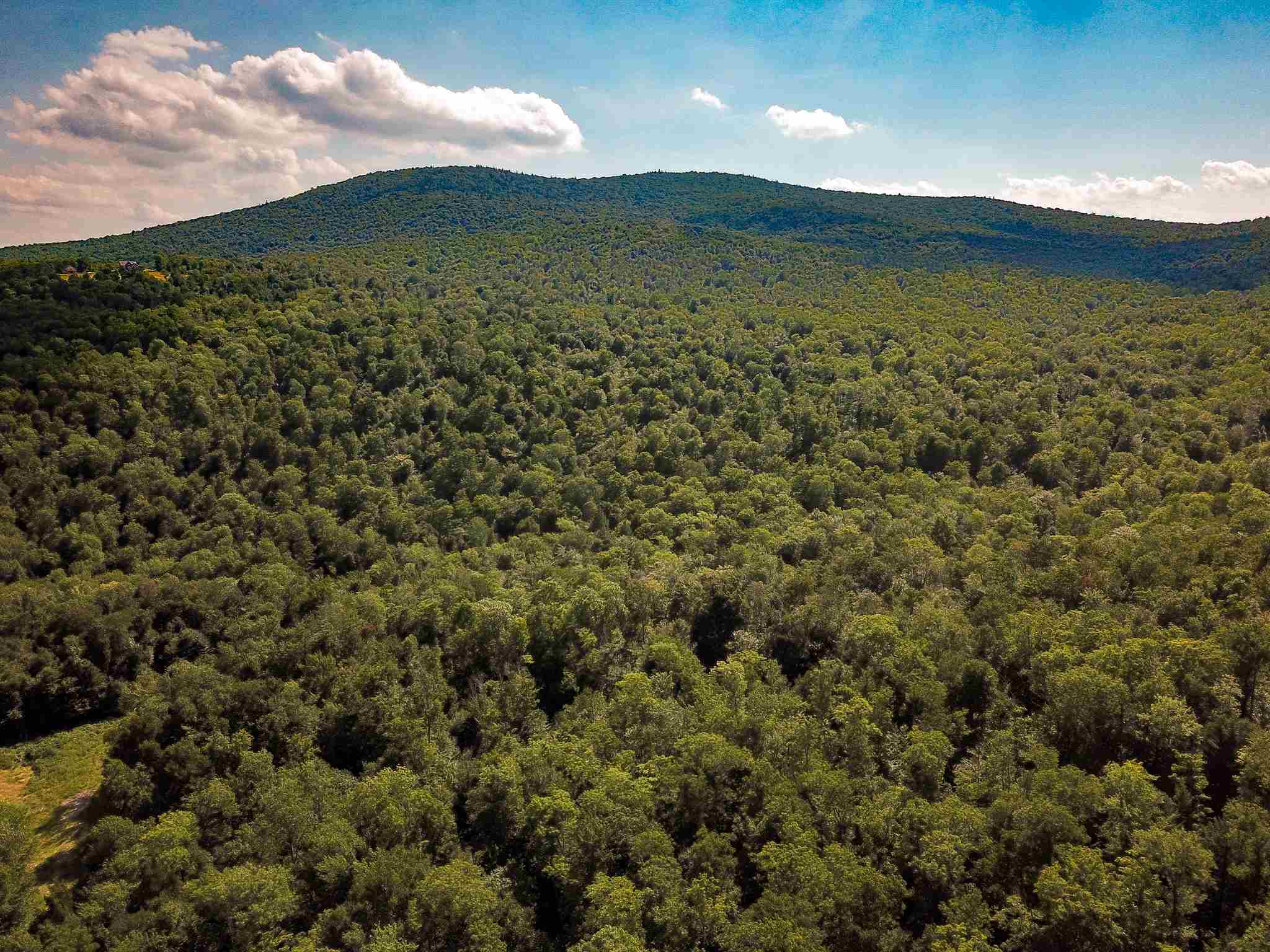 269 Schmidt Road Andover, VT 05143 - Photo 11 of 40