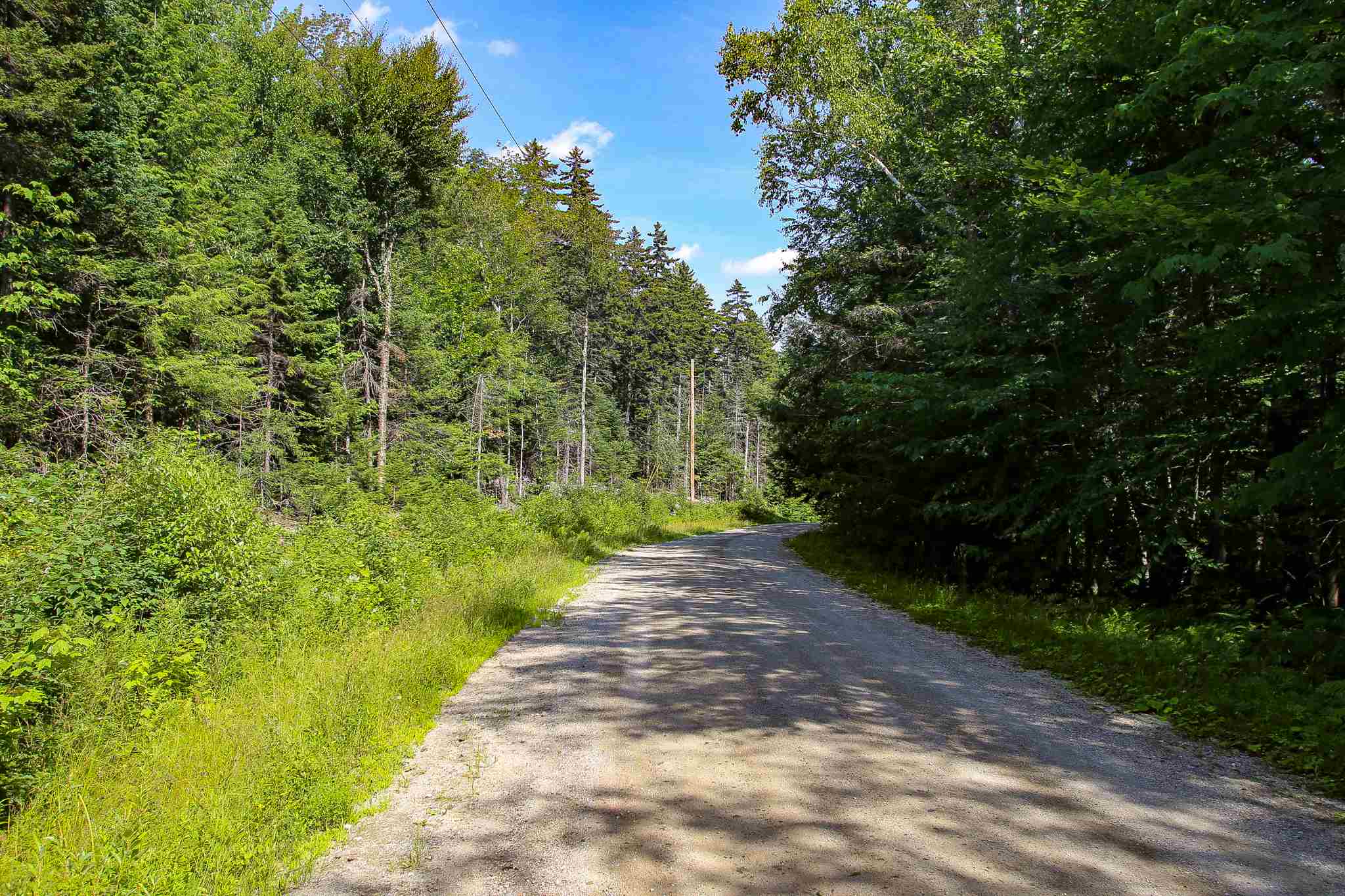 269 Schmidt Road Andover, VT 05143 - Photo 12 of 40