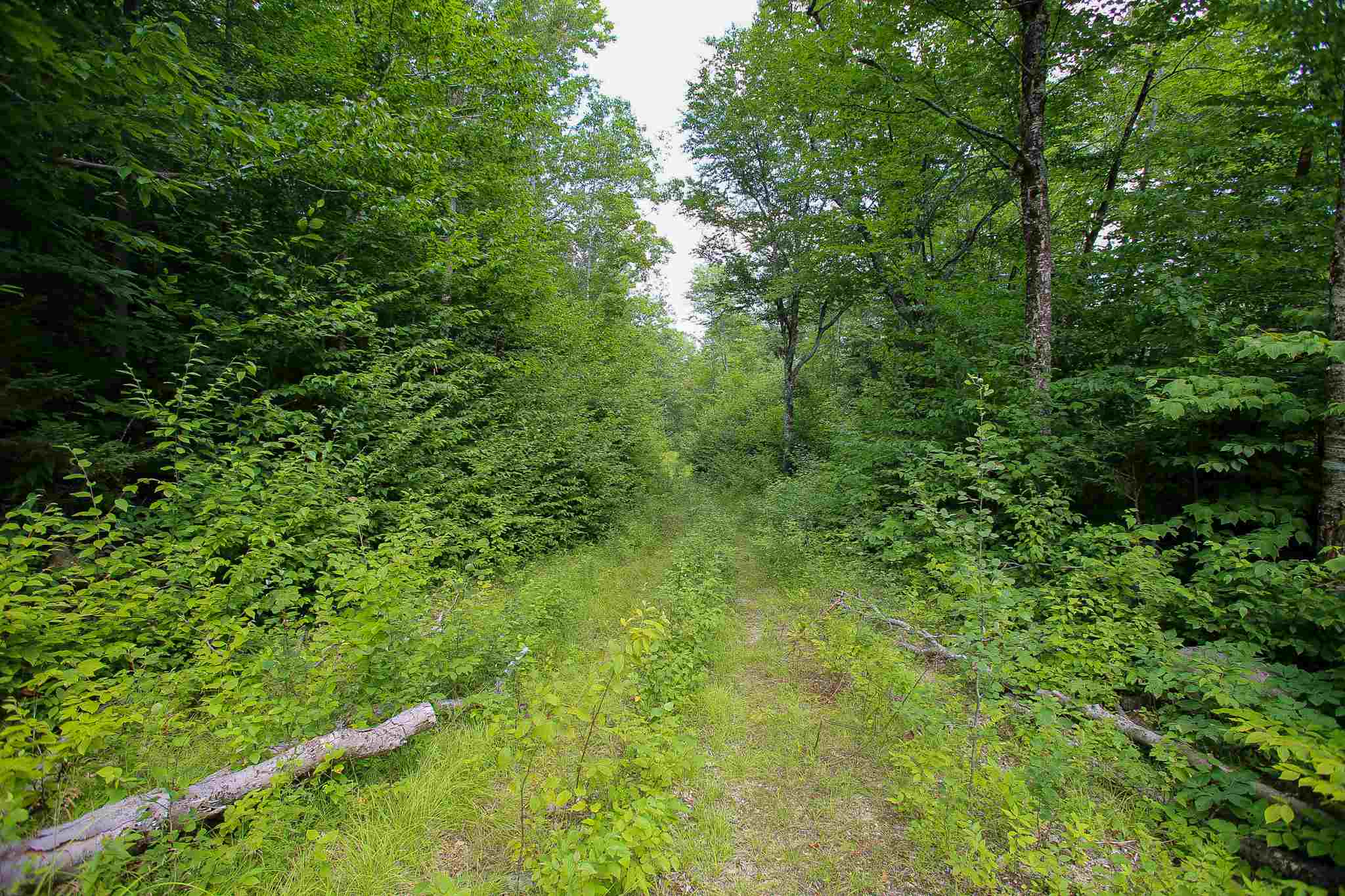 269 Schmidt Road Andover, VT 05143 - Photo 28 of 40