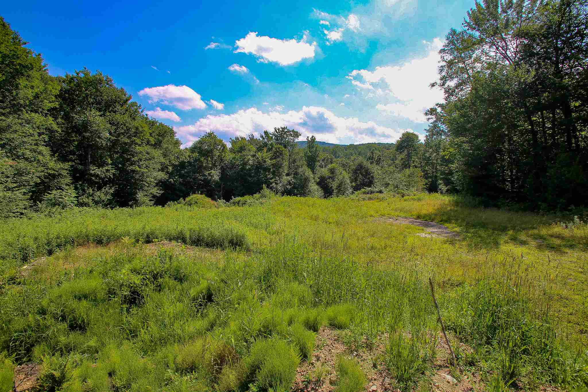 269 Schmidt Road Andover, VT 05143 - Photo 30 of 40