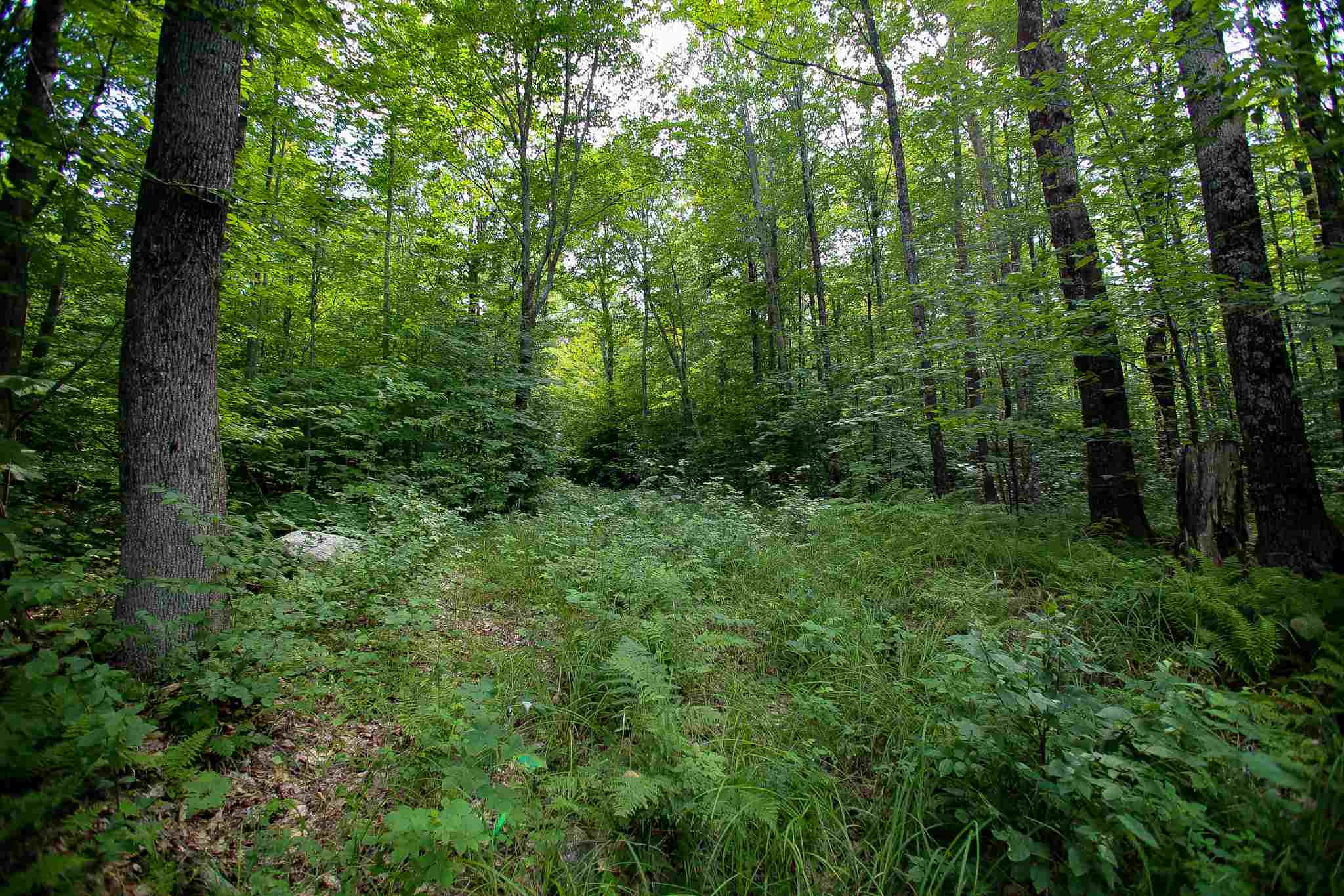 269 Schmidt Road Andover, VT 05143 - Photo 33 of 40