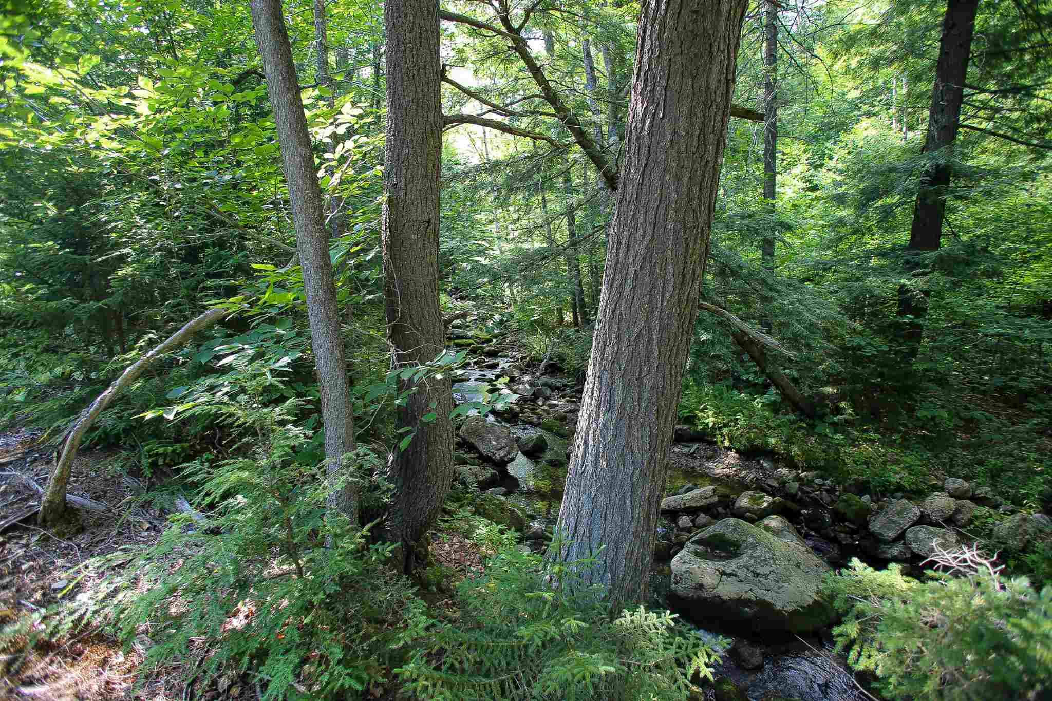 269 Schmidt Road Andover, VT 05143 - Photo 34 of 40