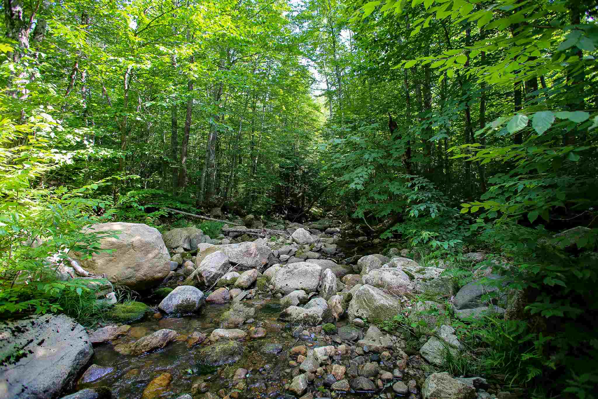 269 Schmidt Road Andover, VT 05143 - Photo 35 of 40