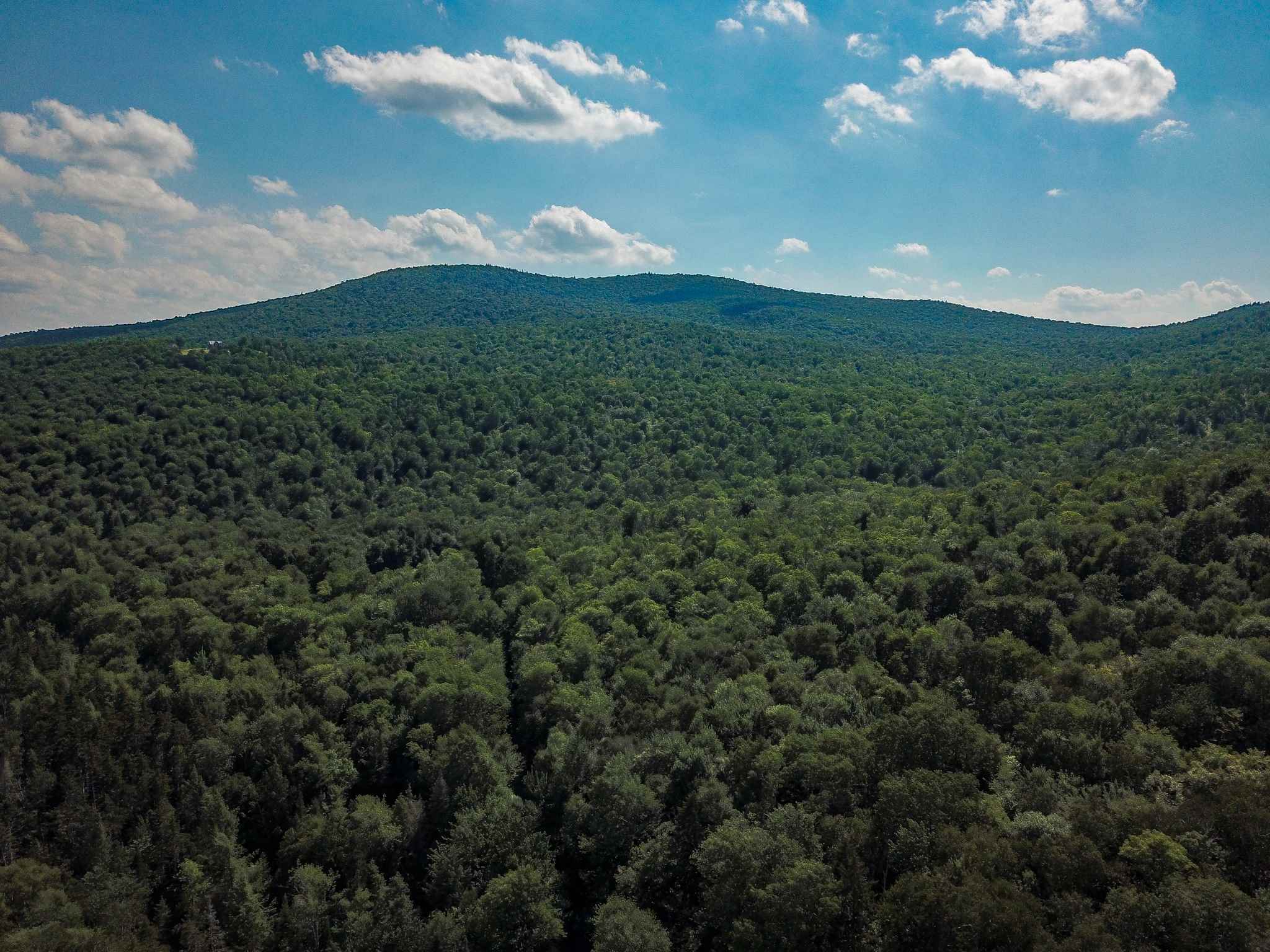 269 Schmidt Road Andover, VT 05143 - Photo 38 of 40