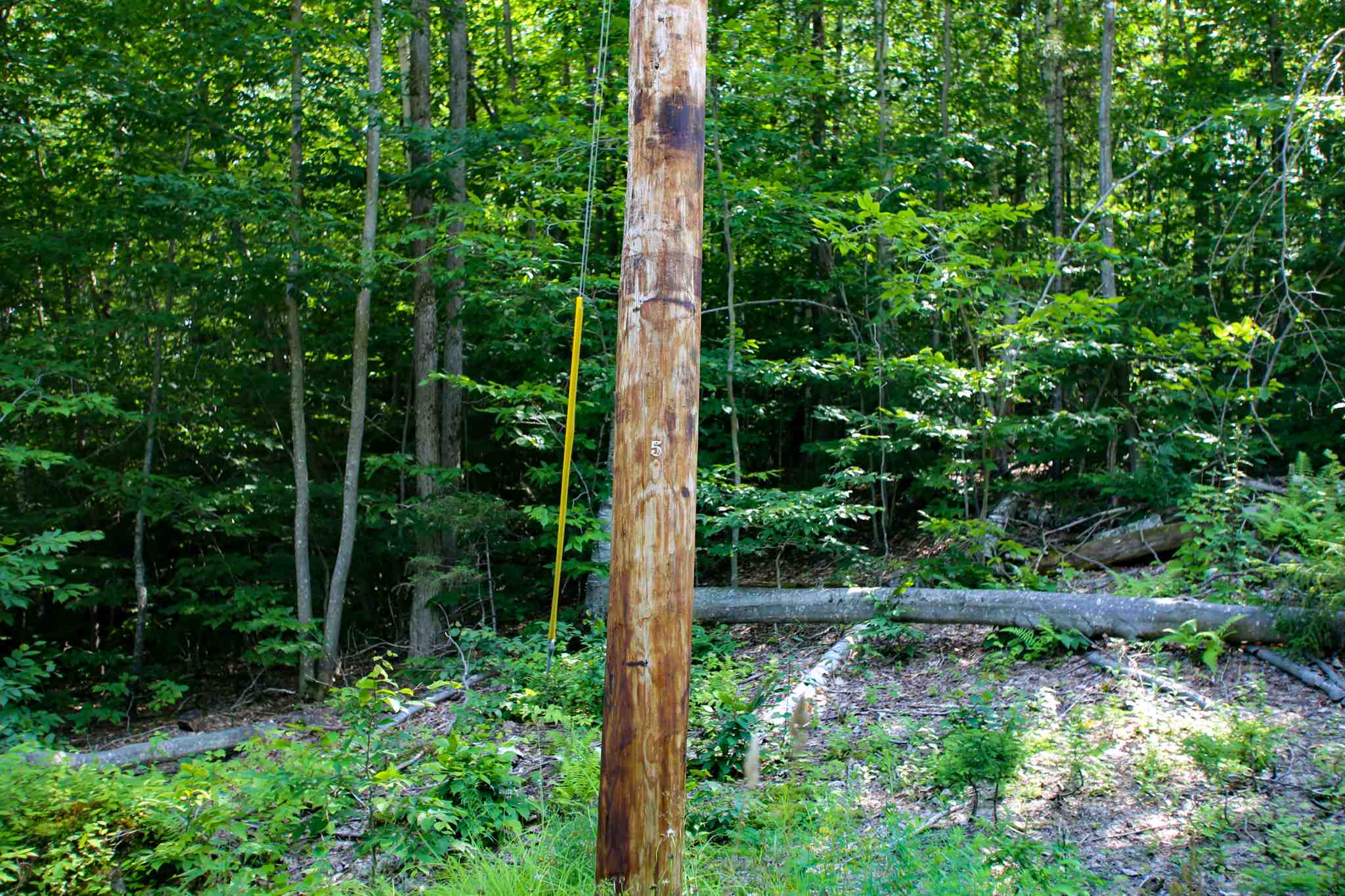 269 Schmidt Road Andover, VT 05143 - Photo 39 of 40