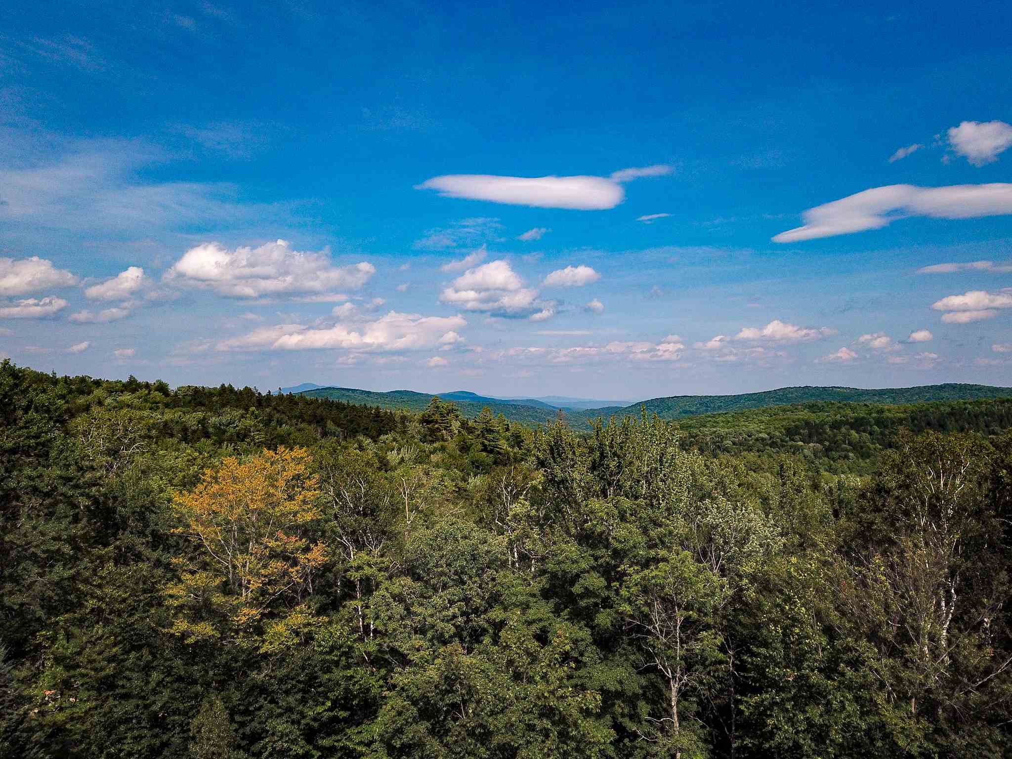 269 Schmidt Road Andover, VT 05143 - Photo 9 of 40