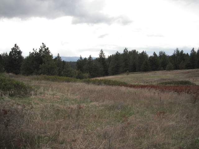 4325 A Lyon Hill Road Springdale, WA 99173 - Photo 1 of 8