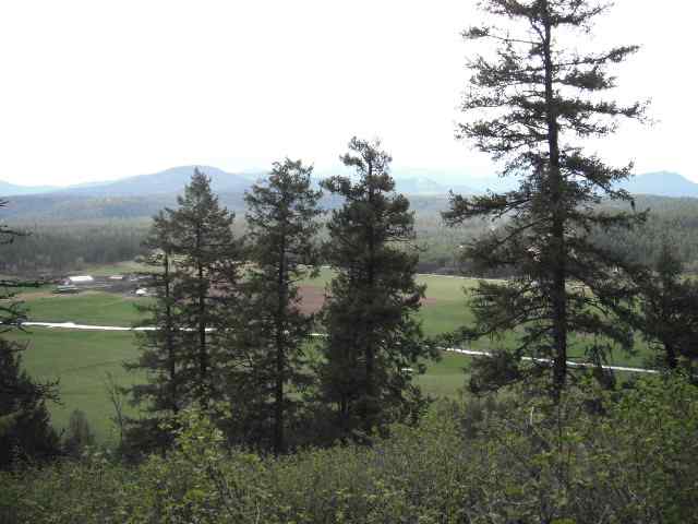 4325 A Lyon Hill Road Springdale, WA 99173 - Photo 3 of 8