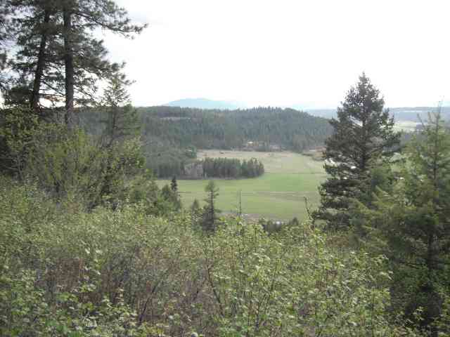 4325 A Lyon Hill Road Springdale, WA 99173 - Photo 5 of 8